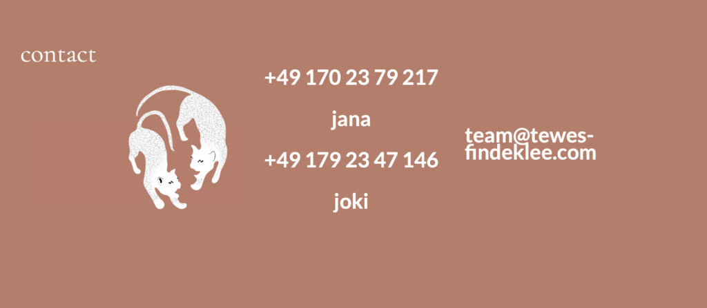 Contact Kopie 1024x447